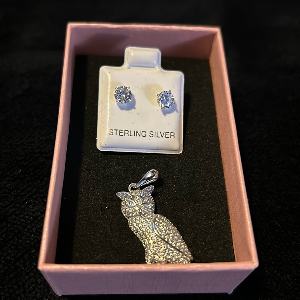 Swarovski crystal won in auction it a owl🦉and sterling silver Swarovski crystal